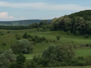 img_2117-2
