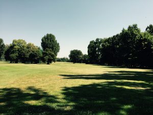 IMG_1157