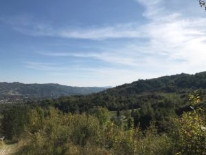 PAR 4, traseul 5 - Lac De Verde Golf Club