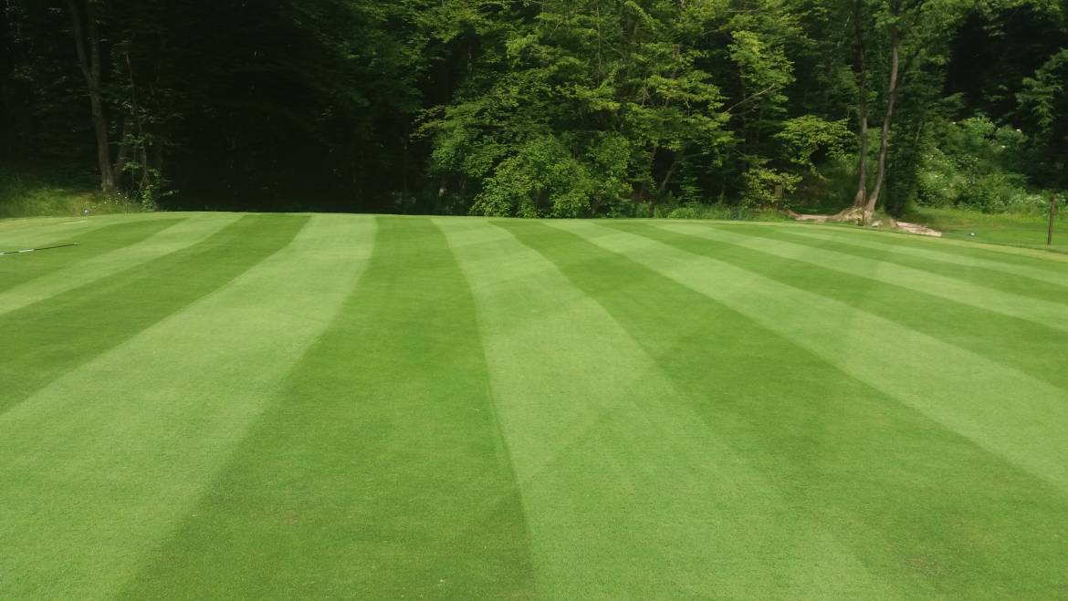 Golf în România: 10 noutăți și recorduri apărute în ultimul an
