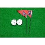 Putting Green Artificial PGA Tour 3