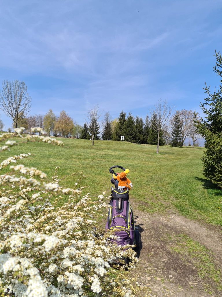 Flori(i)le la Golf Club Paul Tomita