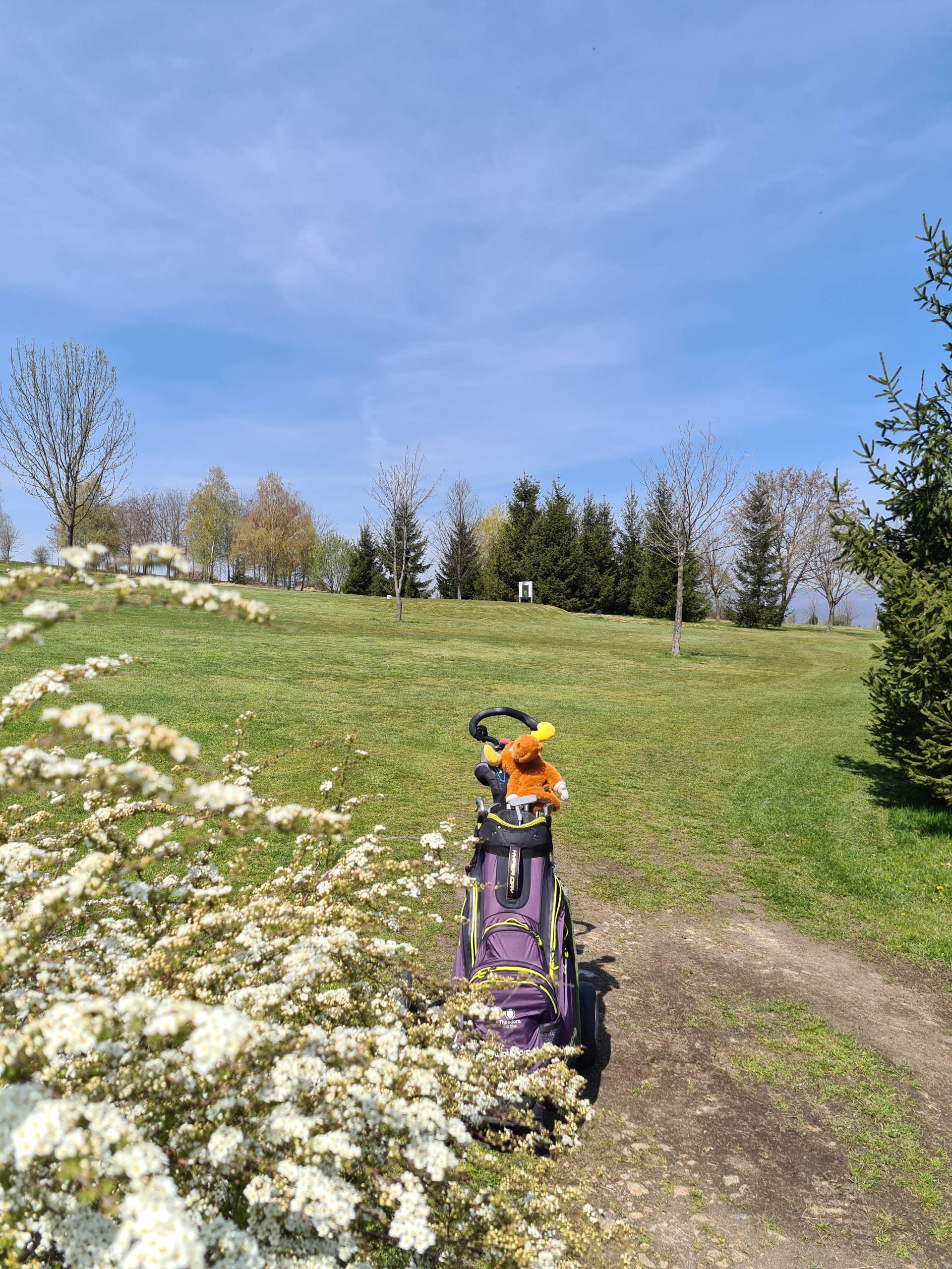 Flori(i)le la Golf Club Paul Tomita